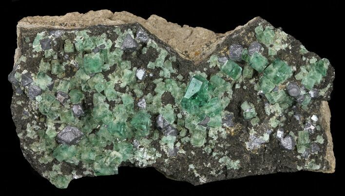 Fluorite & Galena Cluster - Rogerley Mine #60365